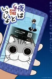 《今晚有猫伴身边》：孤独都市的治愈之光，猫咪带来的爱与救赎