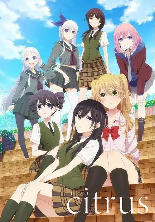 《柑橘味香气》：当味蕾遇上心动，一段关于美食与爱的青涩奏鸣曲